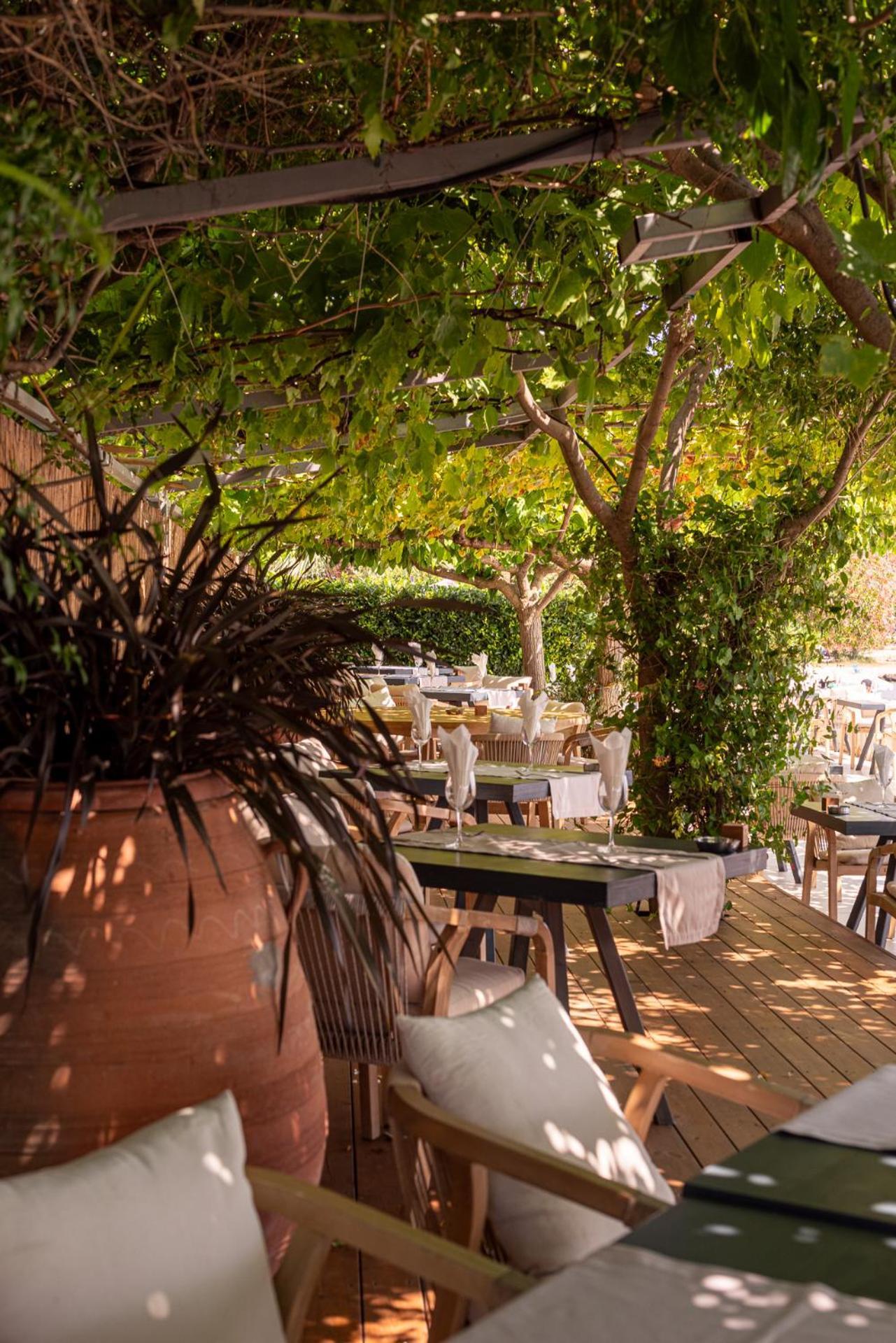 Corissia Beach Hotel Georgioupoli Zewnętrze zdjęcie